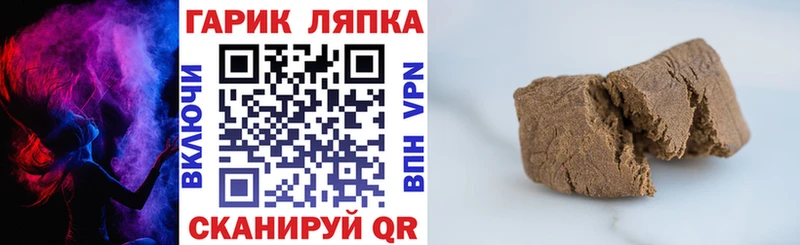 ГАШ Изолятор  Краснознаменск 