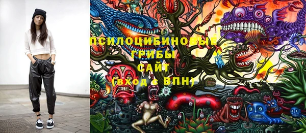 твердый Саяногорск