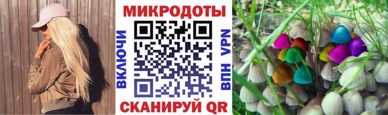 Псилоцибиновые грибы Magic Shrooms  hydra как зайти  Краснознаменск 